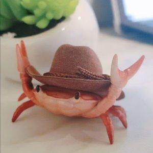 Meet your Posher, Skye